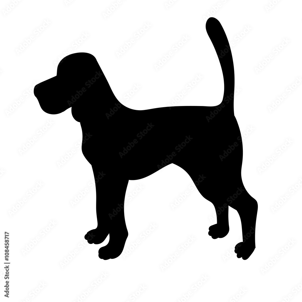 Silhouette of beagle isolated on white background.