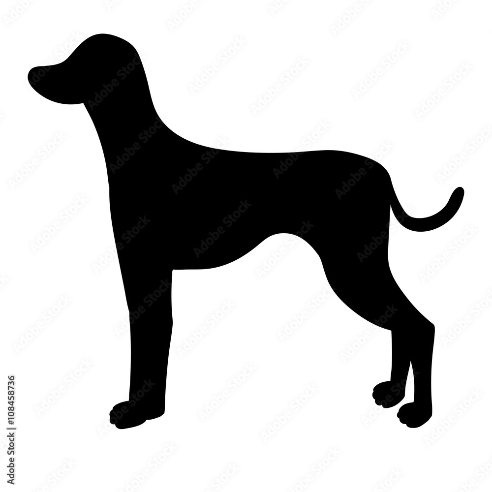 Silhouette of dalmatian isolated on white background