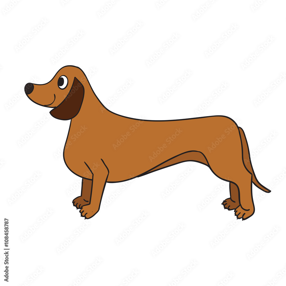 Cute cartoon dachshund isolated on white background