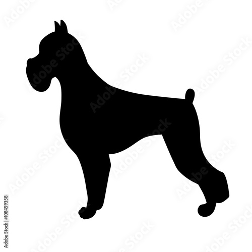 Silhuette of boxer dog isolated on white background