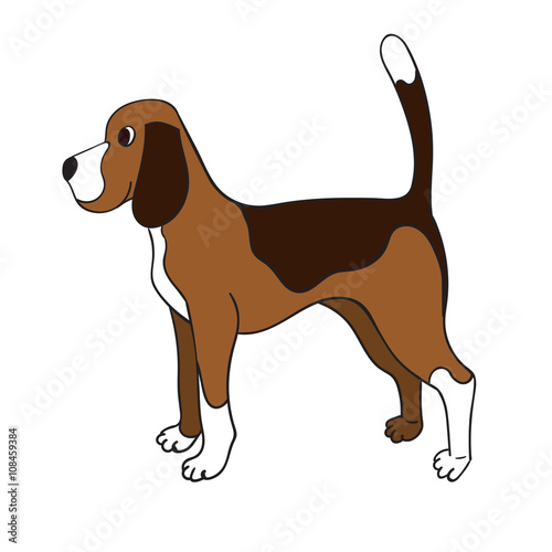 Cute cartoon beagle isolated on white background.