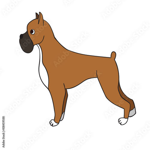 Cute cartoon boxer isolated on white background.