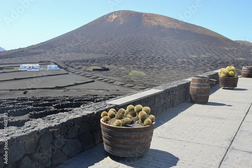Tableau sur toile The famous vine-growing area La Geria on Lanzarote, Canary Islands, Spain