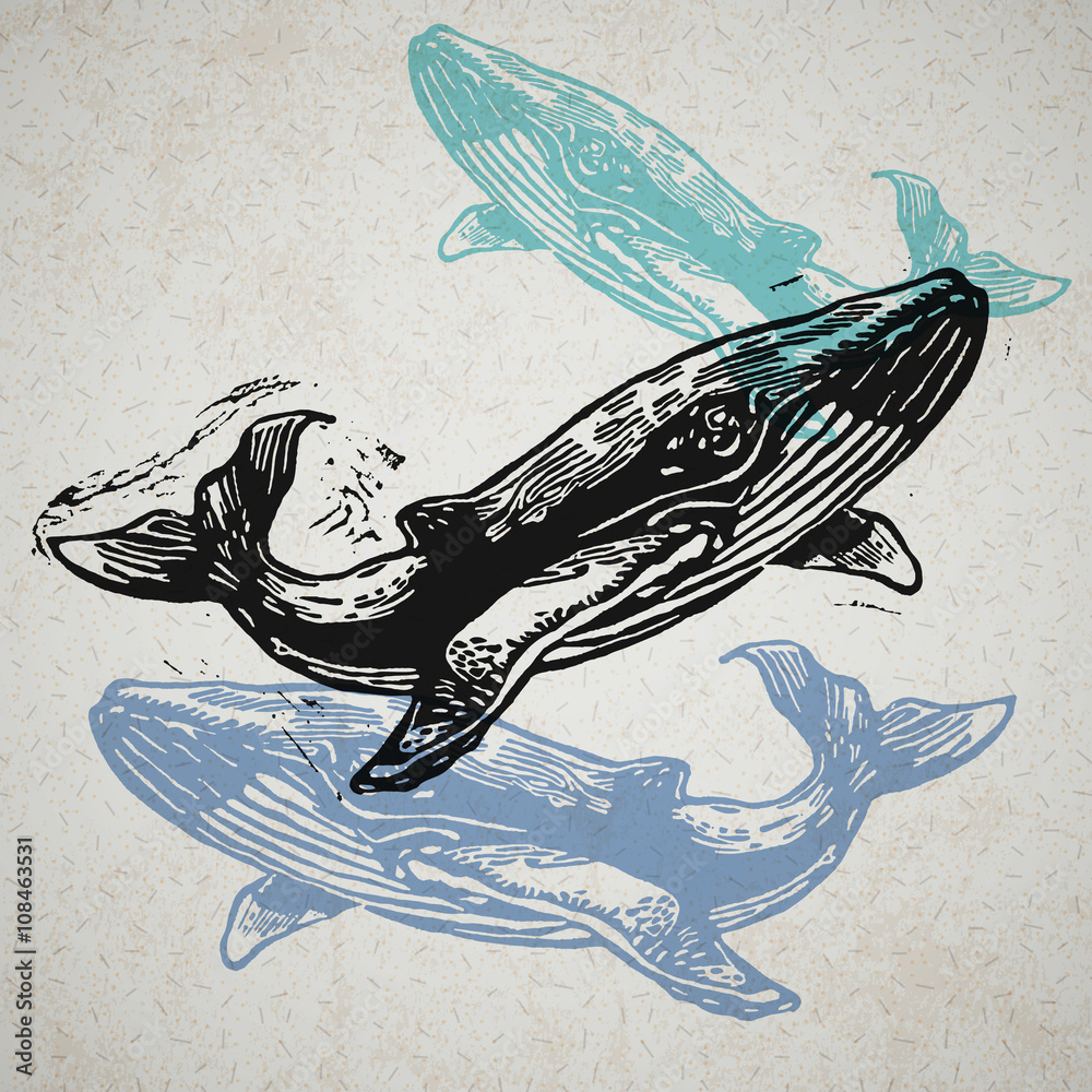 Fototapeta premium Vector Whale animals in abstract composition.