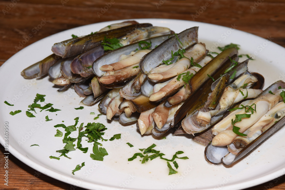Razor shell Razor shell