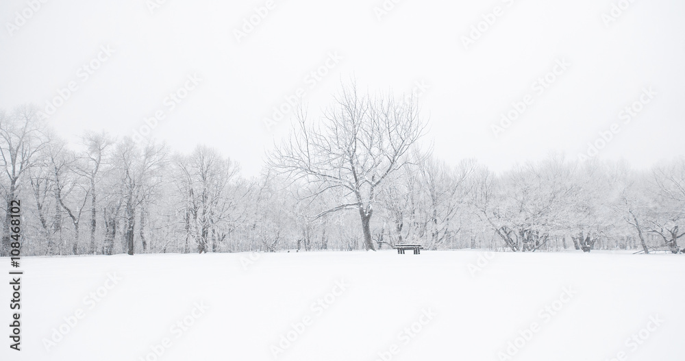 Naklejka premium Nice winter scene