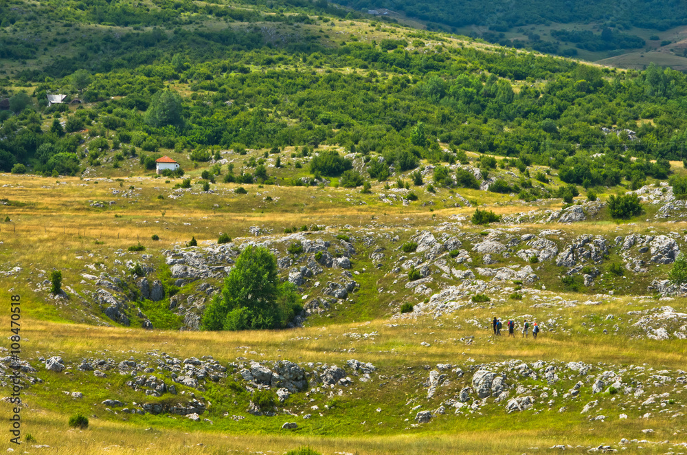Karst sinkholes, detail from Pester plateau landscape in southwest Serbia Karst sinkholes, detail from Pester plateau landscape in southwest Serbia