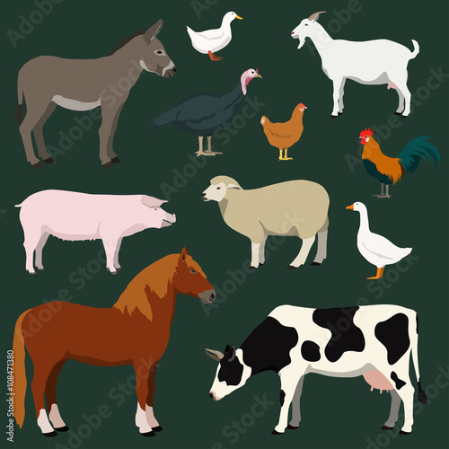 Cartoon farm animals and poultry vector set. Illustration of horse, cow, sheep, goat, donkey, pig, turkey, chicken, rooster, duck, goose.