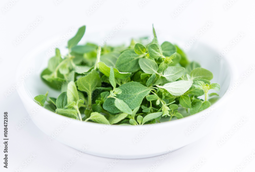 Oregano (over white) Oregano (over white)
