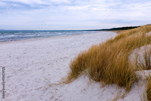 Fototapeta Naklejka Na Ścianę i Meble -  Dune at the Baltic Sea, Ruegen, Germany