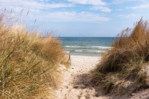 Dune at the Baltic Sea, Ruegen, Germany