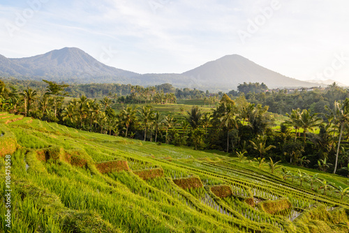 rice terraces of Jatiluwih at sunrise, Bali