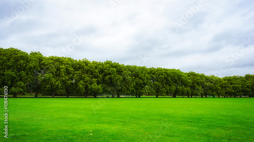 Green park on cloudy day