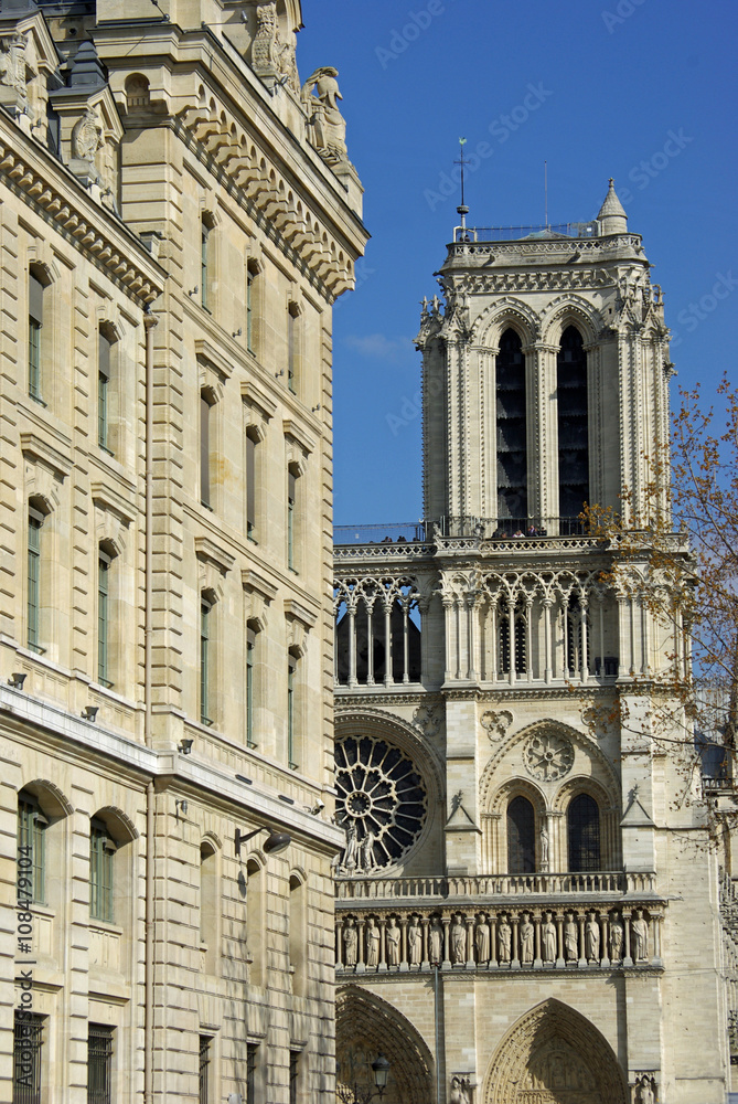 Paris, tour sud de Notre-Dame