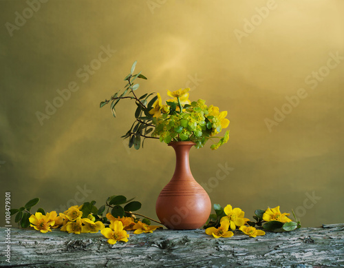 Fototapeta Naklejka Na Ścianę i Meble -  Still life with yellow spring flowers