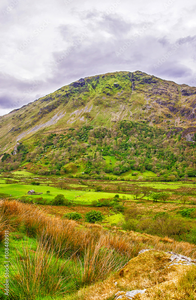 Fototapeta premium View to hill in Snowdonia National Park in North Wales