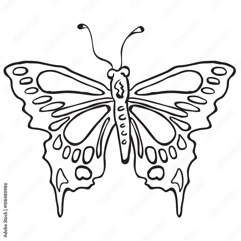 simple black and white butterfly simple black and white butterfly