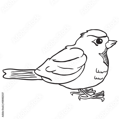 simple black and white robin