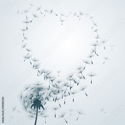 flower vector Dandelion on a wind loses the integrity forming love