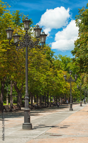 Park in the city