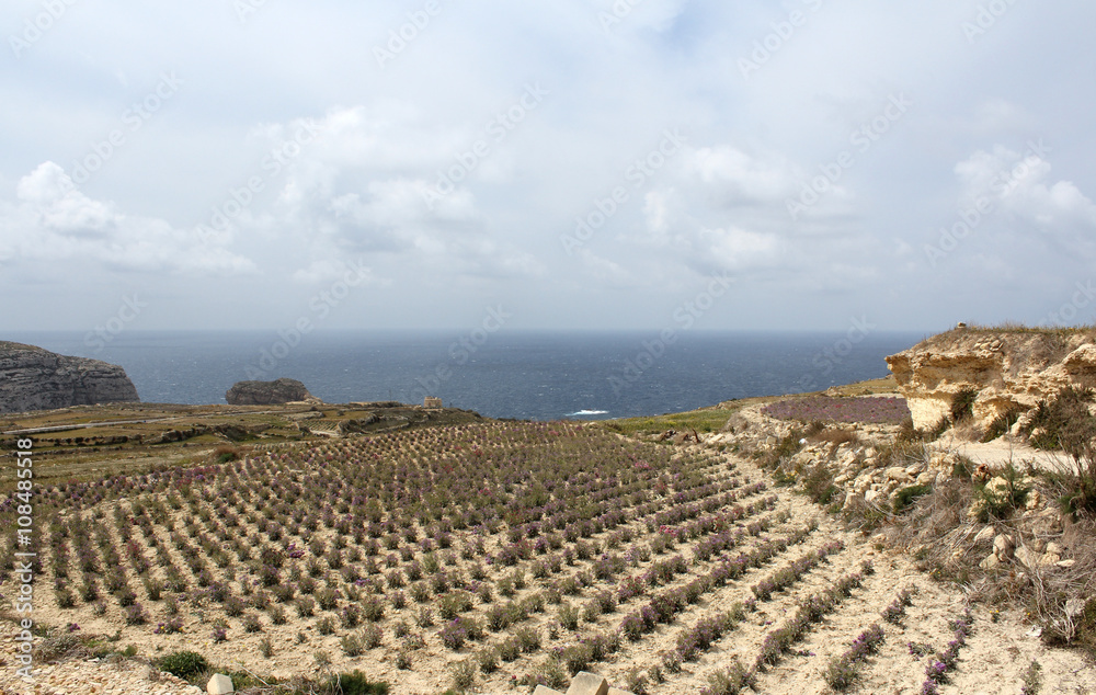 Obraz premium Gozo Island, Republic of Malta