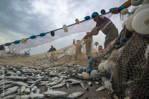 Fishers take fish out of a net photo