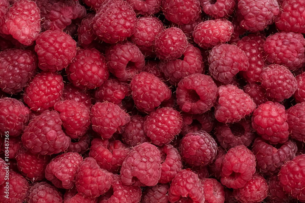 Close-up colorful juicy background from many red raspberries Close-up colorful juicy background from many red raspberries