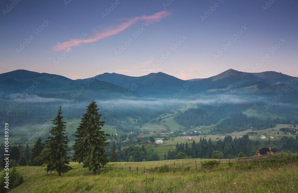 Obraz premium fir trees on meadow between hillsides with conifer forest in fog under the blue sky before sunrise
