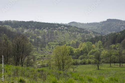 Beautiful Hungarian landscape with hills an trees