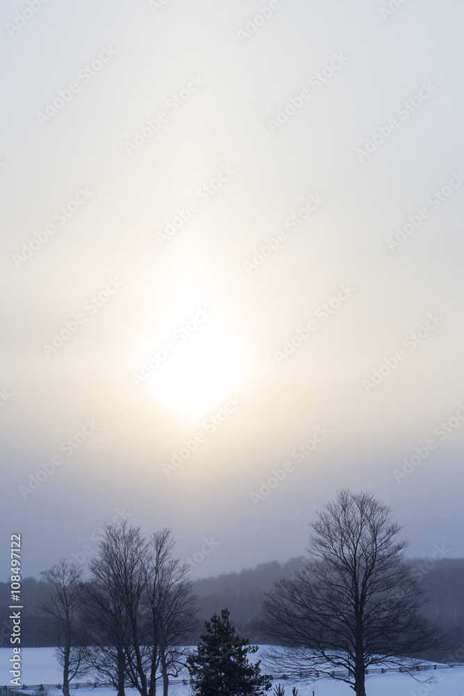 Fototapeta premium Snowy Nature View