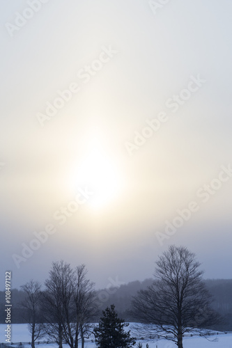 Snowy Nature View © Chris Gardiner