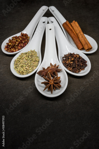 Five Spice with Star Anise Focus