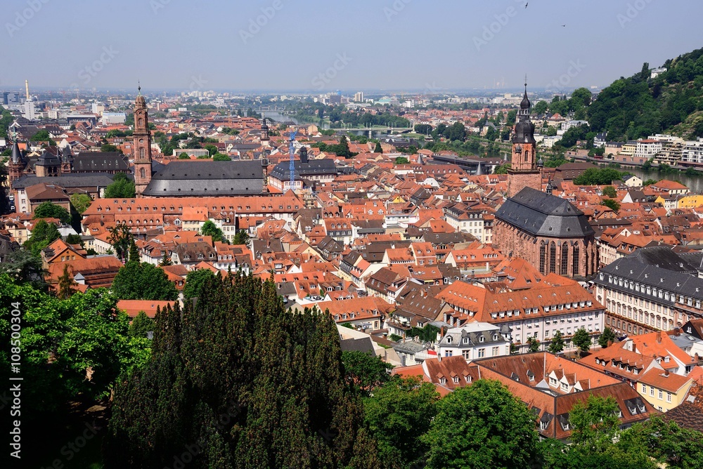 城から眺める中世の街ハイデルベルクと石橋
見るからに中世の街という感じがして圧倒された。