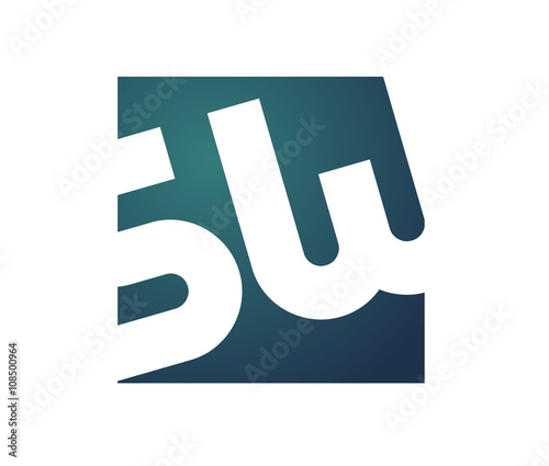 SW Initial Logo for your startup venture