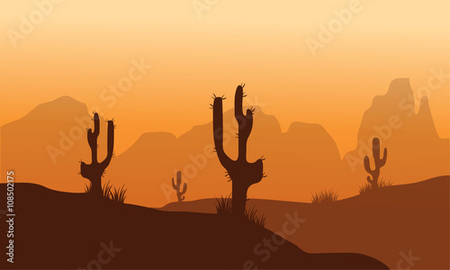Sunset with Cactus in Desert