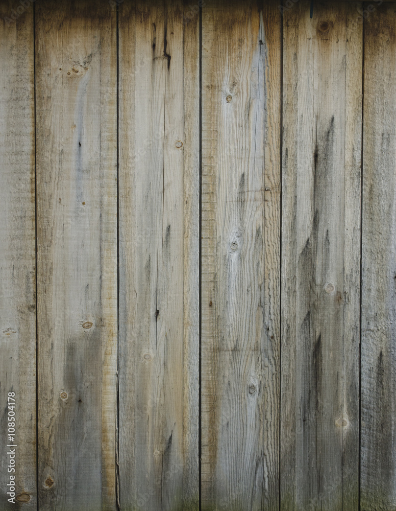 panels panels