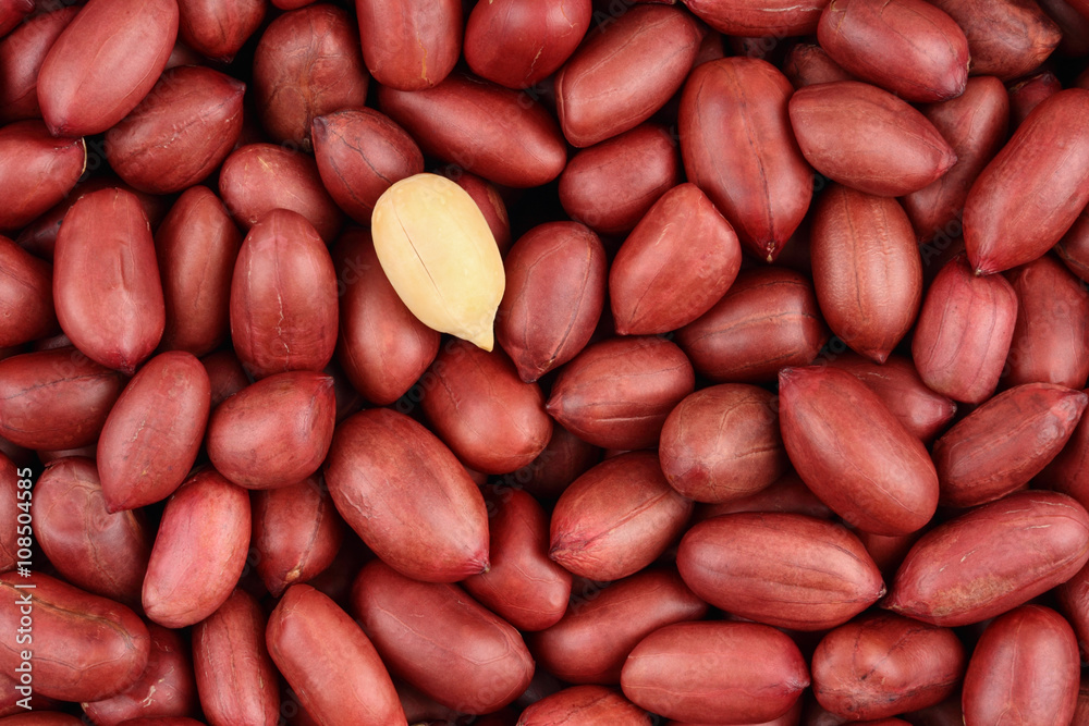 Red grain peanut on the entire background Red grain peanut on the entire background