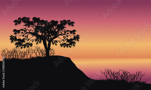 Trees at sunrise scenery