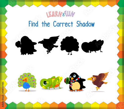 Find the correct Animals shadow