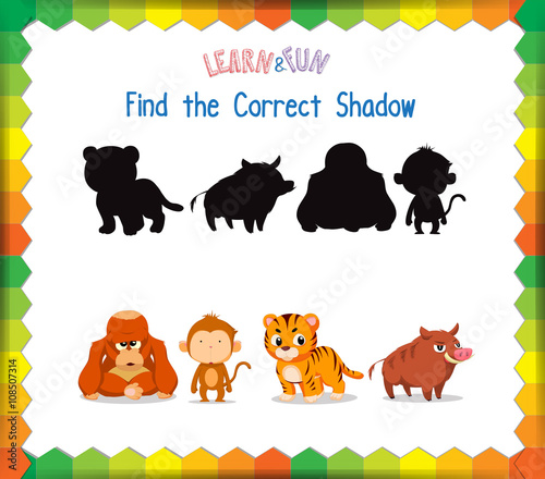 Find the correct Animals shadow