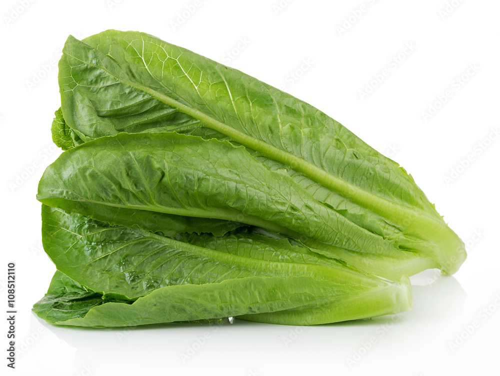 fresh cos (lettuce) on white background fresh cos (lettuce) on white background