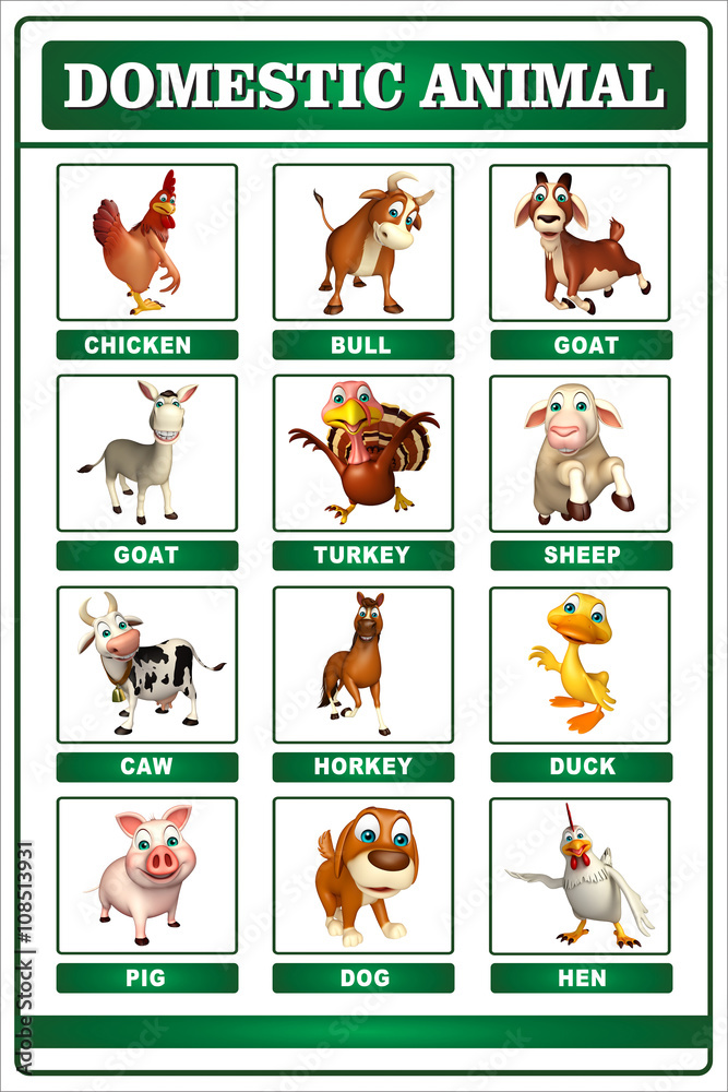 Fototapeta premium domastic animal chart