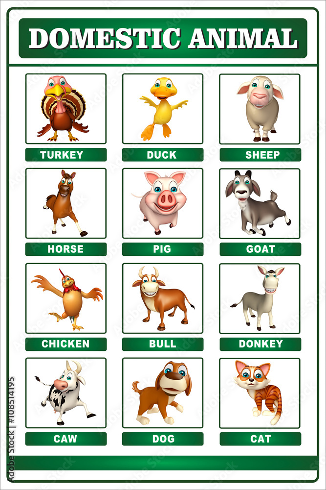 Fototapeta premium domastic animal chart