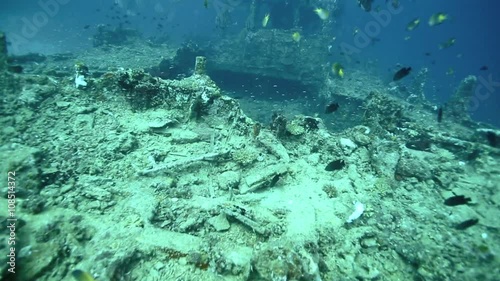 Wallpaper Mural Shipwreck on ocean floor in Manokwari Harbor, West Papua  Torontodigital.ca