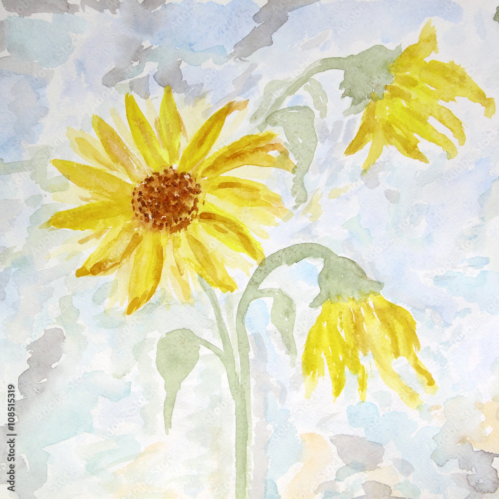 Obraz Watercolor painting of flowers sunflower, summer card