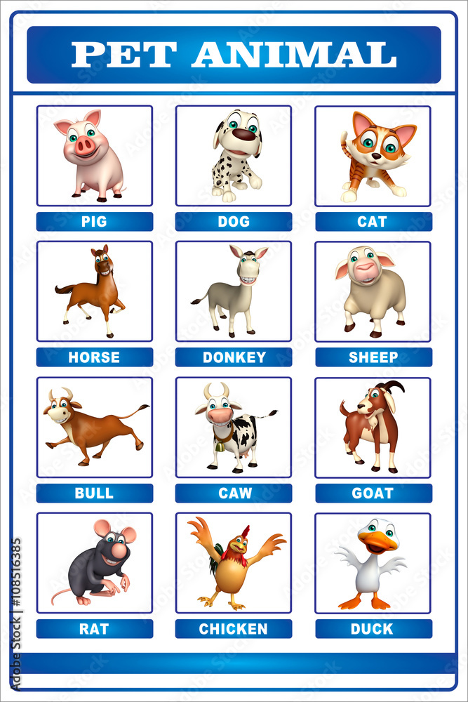 pet animals chart