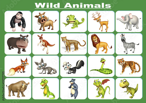 Fototapeta Naklejka Na Ścianę i Meble -  wild animal chart