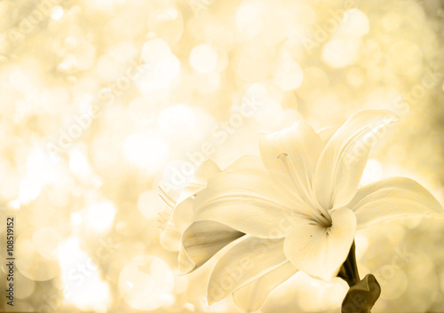Fototapeta Naklejka Na Ścianę i Meble -  background with lily