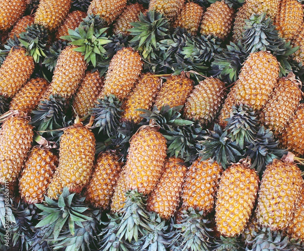 Ananas - Südindien. Ananas - Südindien.
