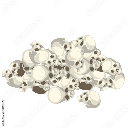 Pile of human skulls, isolated image